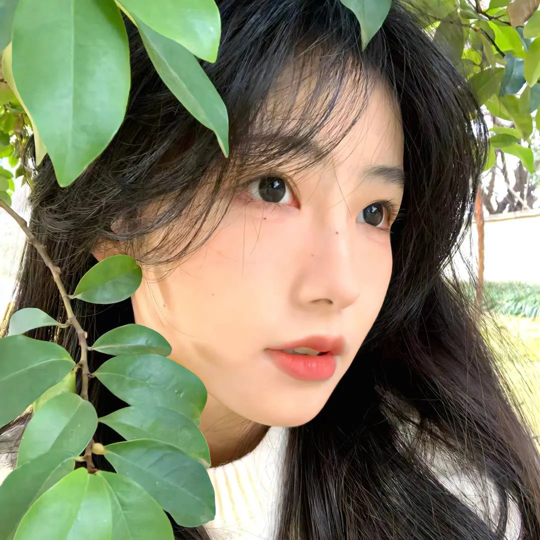 采蘑菇的夫妻